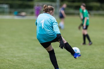 Bild 122 - F VfL Pinneberg - GW Eimsbuettel4 : Ergebnis: 9:0